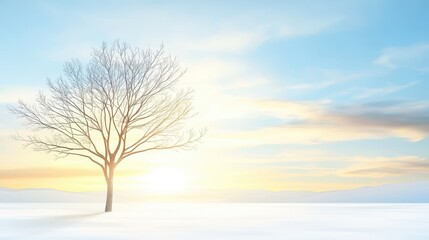 Spectacular winter landscape, sunlight behind a frosted tree in serene setting