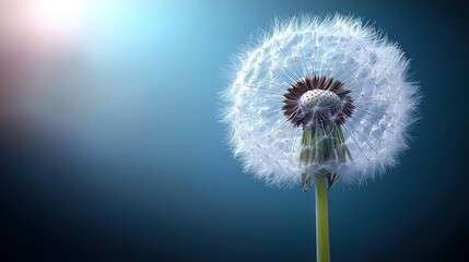Obraz premium Serene Dandelion: A Breathtaking Close-Up