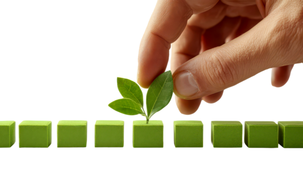 Hand Placing Leaf on Green Blocks for Growth Concept Isolate on Transparent Background, cutout, png - Powered by Adobe