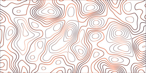 Topographic canyon geometric map relief texture with curved layers and shadow. abstract White background with a beautiful pattern, Topographic contour lines vector map seamless pattern vector.