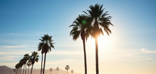 Fototapeta premium Misty morning, California palm trees silhouetted against a vibrant blue sky, background, palm trees, environment