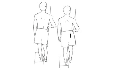 Hip Hike Exercise on Step Strength Training for Core and Hip Stability