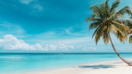 Serene Tropical Beach Landscape with Swaying Palm Tree and Bright Blue Sky