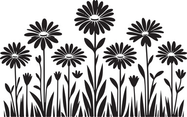 Daisy flowers vector