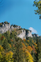 Rocky mountain peaks rise above a colorful autumn forest under a vibrant blue sky.