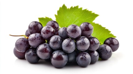 Fototapeta premium Fresh Black Grapes with Leaves on a White Background Studio Shot