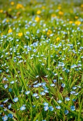 A vibrant spring meadow, bursting with blue forget-me-nots scattered across a carpet of scorpion grass, delicate, meadow