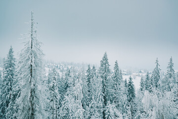 A serene winter landscape with a dense forest of snow-covered trees. In the distance, a picturesque village with snowy rooftops emerges from the mist, creating a peaceful and dreamy winter atmosphere.