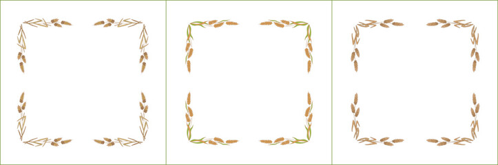 Set of three elegant green and yellow ornamental frame with cereal spikelets, wheat ears, cereal seeds, decorative border. Isolated vector illustration.	

