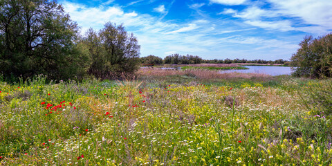Obraz premium Tablas de Daimiel National Park, Daimiel, Ciudad Real, Castilla La Mancha, Spain, Europe