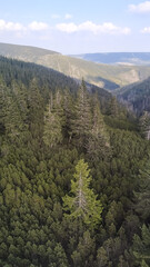 Snezka mountain dominating the lush forests of krkonose national park, czechia in august