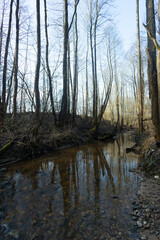 Spring landscape with the river