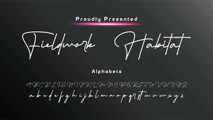 Hand drawn vector alphabet. Modern monoline signature script font. Elegant Signature Font. Best Alphabet Beautiful Calligraphy Signature Font