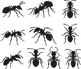 ant silhouettes minimal vector on the white background