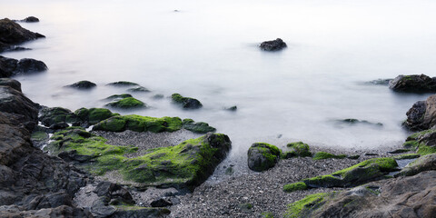 神奈川県横須賀市　梵天の鼻の岩礁