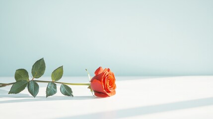 single red rose with fresh green leaves lies gracefully on pristine white table symbolizing mother day love and appreciation