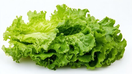 Fresh green lettuce for healthy meals.