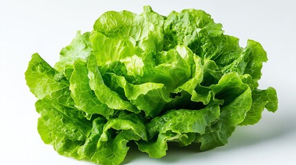 Fresh green lettuce on a white background.