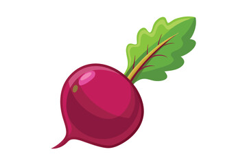 Vector cartoon illustration of a beet isolated on white background. Fresh and healthy food or vegetarian and vegan theme. Organic farm vegetables.