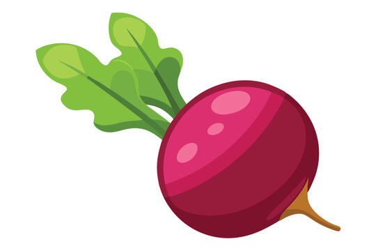 red radish with green leaves on white clip art preview