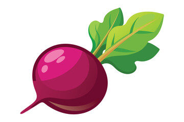 Vector cartoon illustration of a beet isolated on white background. Fresh and healthy food or vegetarian and vegan theme. Organic farm vegetables.