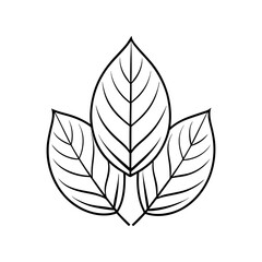 Detailed Leaves Line Art Vector for Digital Use

