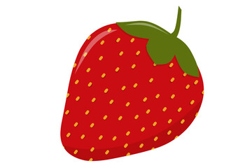 vector illustration of a strawberry, Fruit
