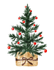 Hand drawn watercolor of a Christmas tree adorned with red ornaments isolated on white background. Vector illustration