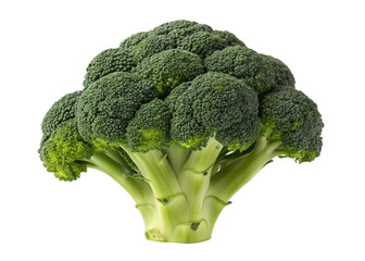 broccoli isolated on transparent background