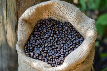 Close up of a burlap sack overflowing with dark roasted coffee beans next to a weathered wooden post, highlighting rich aroma