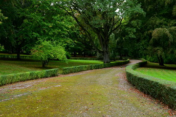 A view of a well maintained garden with numerous dirt paths, vast lawns, meadows and pasturelands, lush trees and spots of flowers combined with herbs seen on a rainy autumn day in Poland