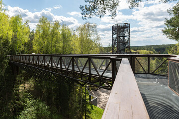 a treetop walking path and observation tower in Anyksciai, Lithuania in spring