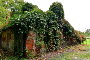 A view of a damaged and ruined barn, hut, or shack made out of red bricks and plaster, now...