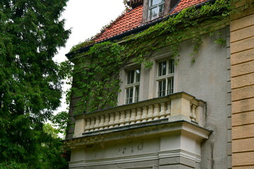 A close up on a balcony or yard of an old abandoned villa located next to a small garden overgrown with bushes, vines and other kinds of flora seen in autumn on a cloudy, cold day