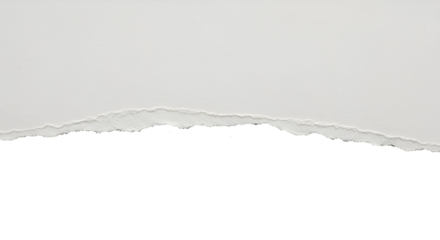 torn paper background