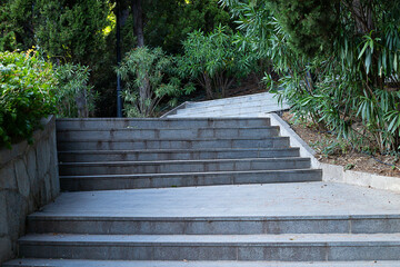 View of the stone staircase and tropical plants