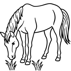 horse vector illustration