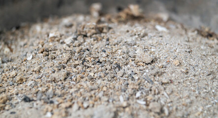 Gray ash in a bucket close-up