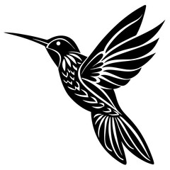 Obraz premium hummingbird vector illustration