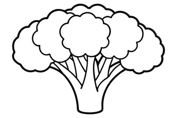 Vector illustration of broccoli isolated on white background. Healthy food or vegan and vegetarian theme. Fresh organic farm vegetables.