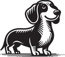 Dachshund Dog Vector Black & White | Silhouette, Clipart, Line Art