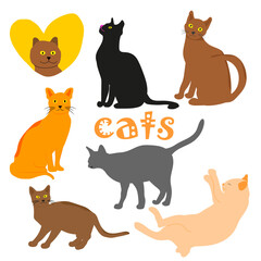 Fototapeta premium A collection of adorable cats depicting members of the feline family in different poses and different colors, including black, orange and gray cats.