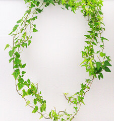 ツタの葉フレーム-02