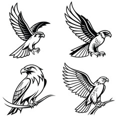 Eagles outline design 
