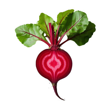 recommend clip art: Beet root vegetable and beetroot food isolated on transparent background.