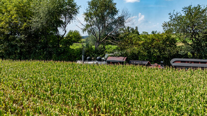 Fototapety na wymiar - Fototapeta24.pl