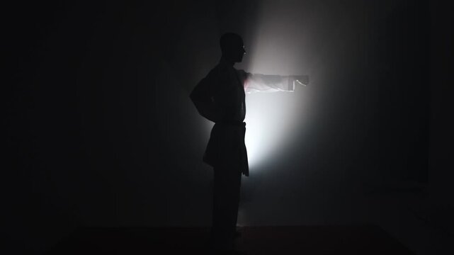 Silhouette of a karate man in a dark room