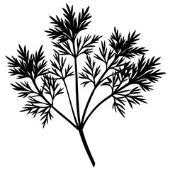 Obraz premium black and white silhouettes of plants