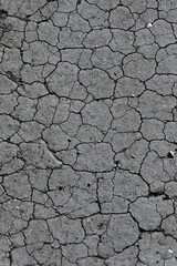 dry cracked earth