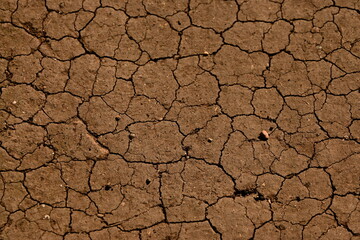 dry cracked earth
